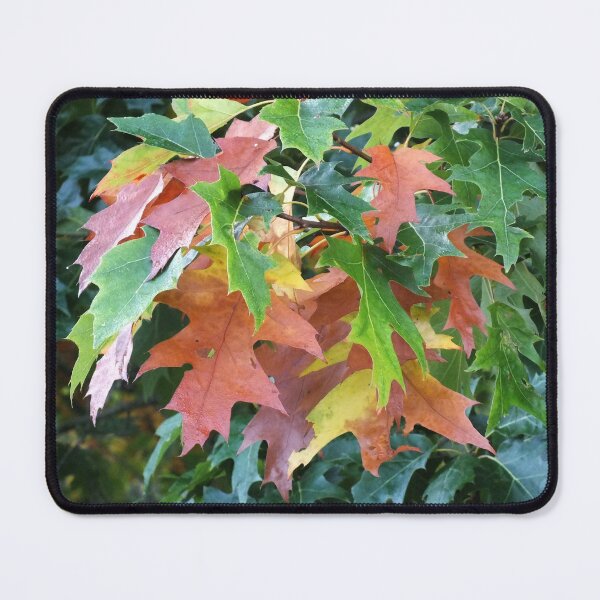 Item preview, Dead and Alive Autumn Forever designed and sold by Yampimon.