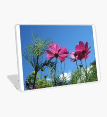 Looking Up Laptop Skin