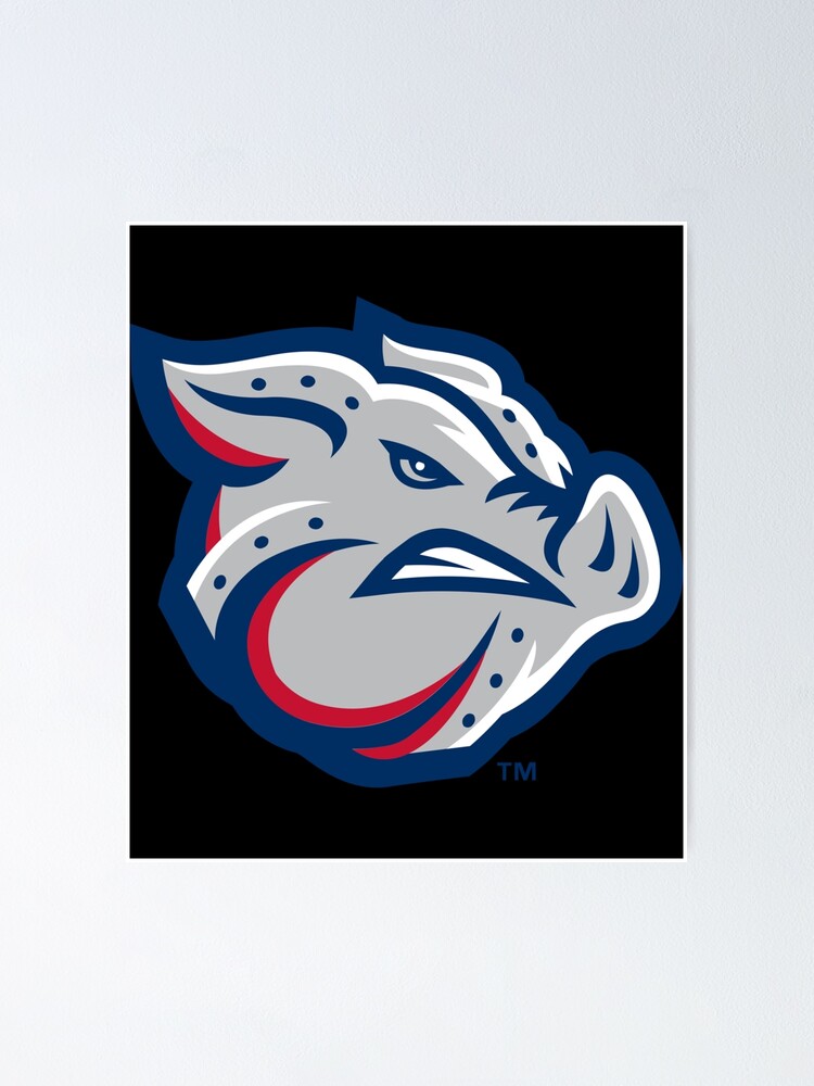 "Lehigh Valley Ironpigs Sticker" Poster for Sale by clamayi2 Redbubble