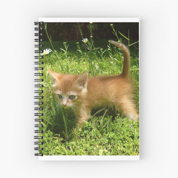 Item preview, Butterbean the Kitten designed and sold by Vivian Eagleson.