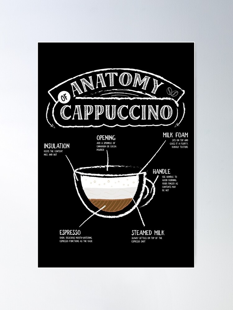 The Anatomy Of Coffee  Coffee type, Coffee recipes, Coffee drinks