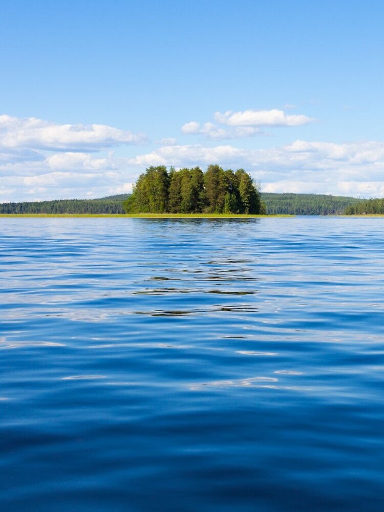 Finland lake scape at summer by Juhku