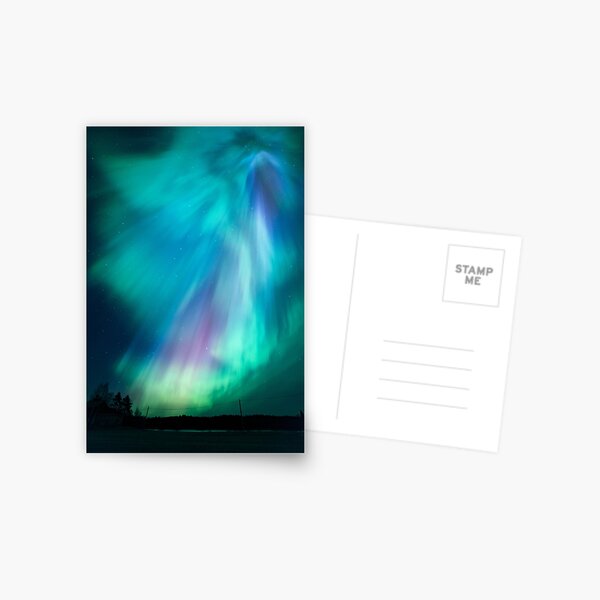 Beautiful northern lights Postcard