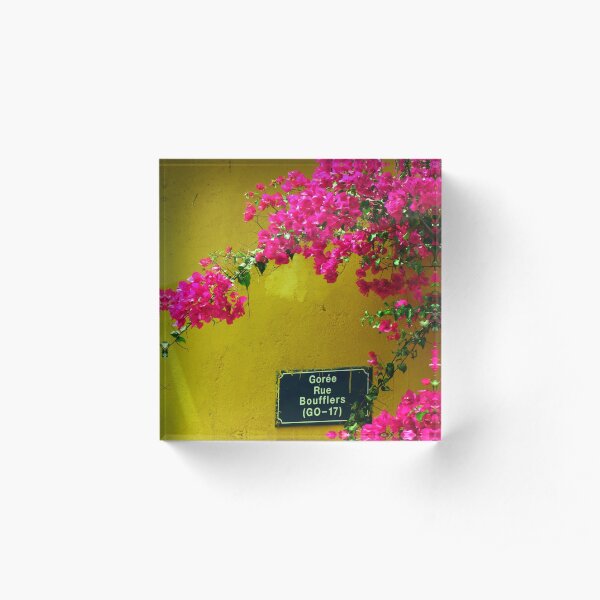 Bougainvillia Acrylic Block