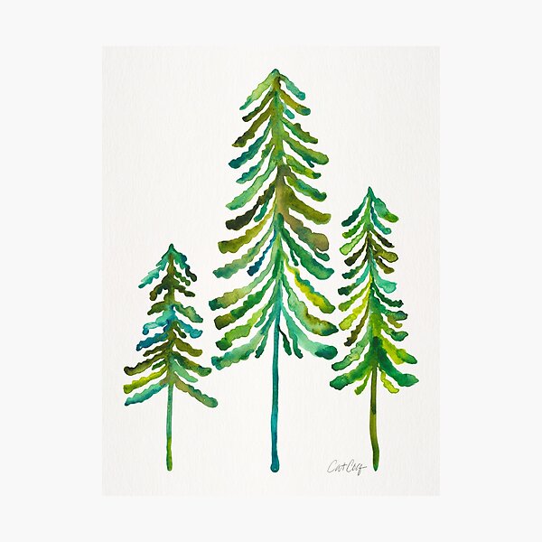 Pine Trees – Green Palette Photographic Print