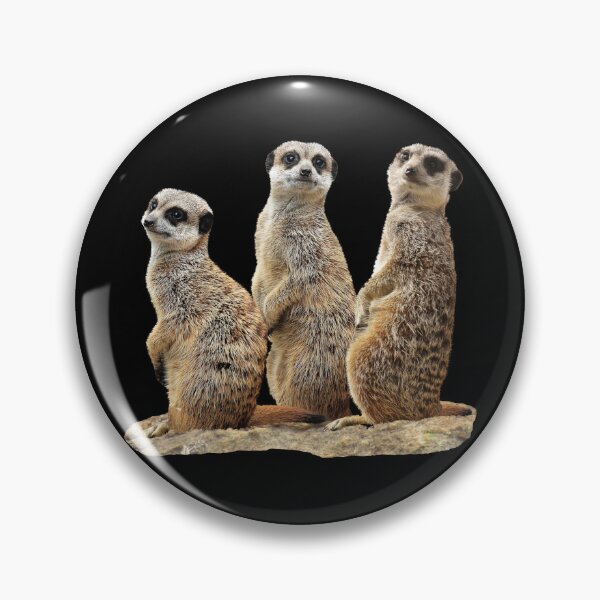 Item preview, Funny meerkat on a rock in Africa designed and sold by TShirtsundMehr.