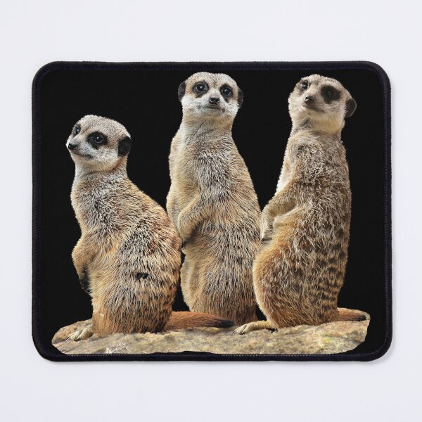 Item preview, Funny meerkat on a rock in Africa designed and sold by TShirtsundMehr.