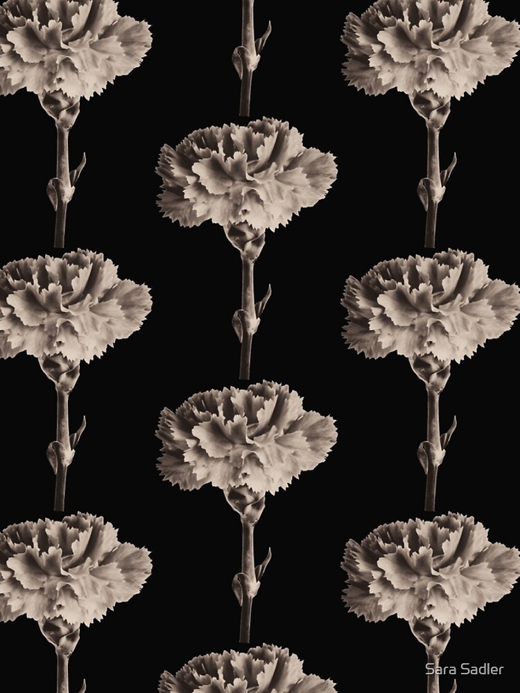 Antique Carnation by sadler2121