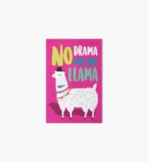 Kein Drama für dieses LLama Galeriedruck
