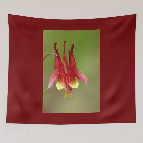 Item preview, Canadian Columbine designed and sold by Debbie Oppermann.