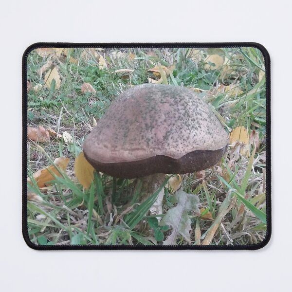 Item preview, Mushroom in Garden designed and sold by Sophia-Adams.