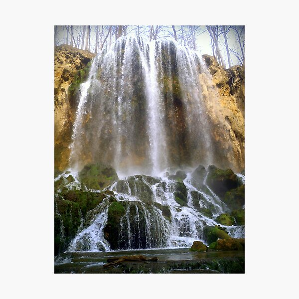 Sprung Photographic Print