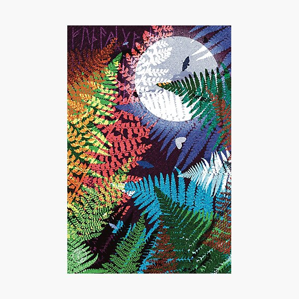 Fern Moon Photographic Print