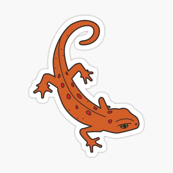 Eastern Red-Spotted Newt Sticker