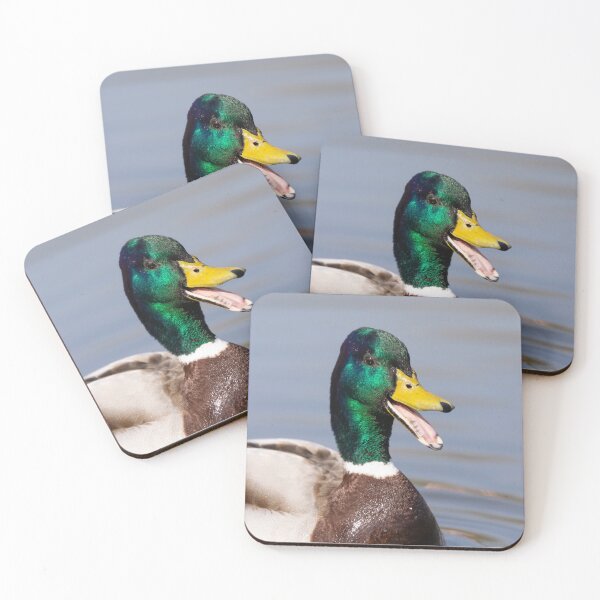 Item preview, The laughing duck designed and sold by AYatesPhoto.