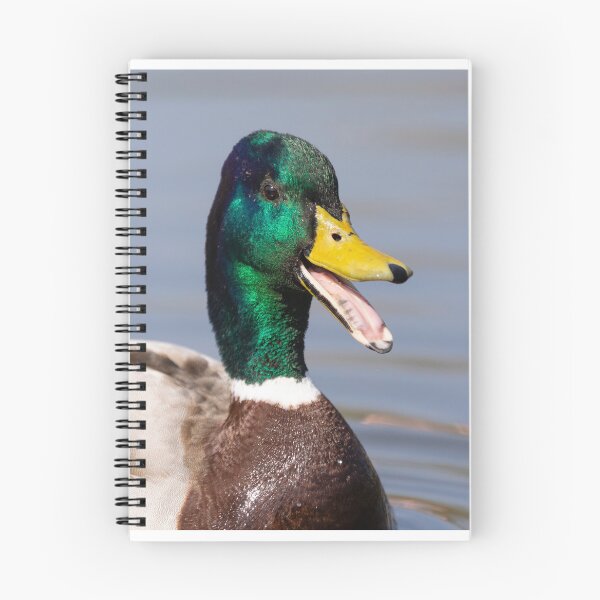 Item preview, The laughing duck designed and sold by AYatesPhoto.