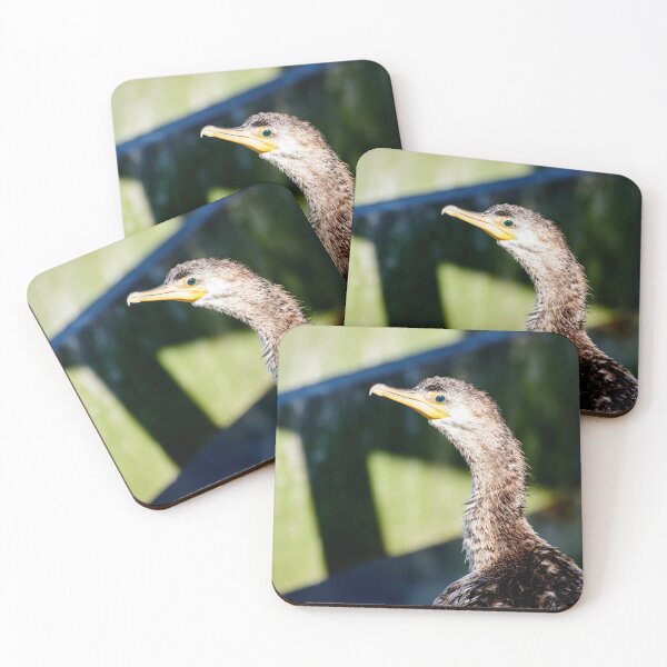 Item preview, Juvenile Cormorant Profile designed and sold by Debra Martz.