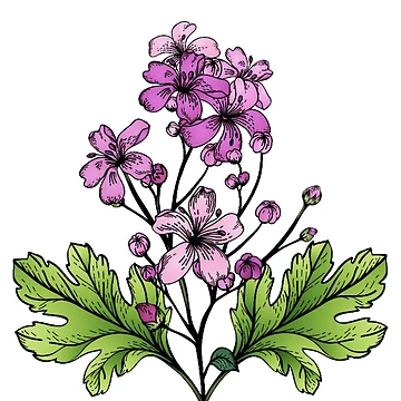 Artwork thumbnail, Spring Twig by ColoredTime