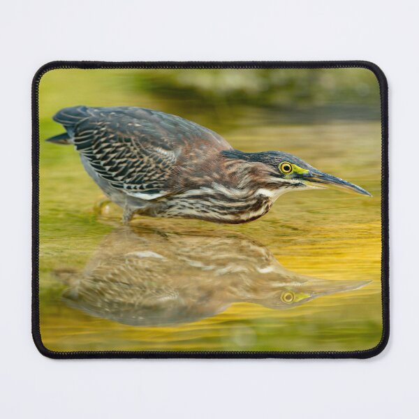 Item preview, Green Heron designed and sold by Michael Cummings.