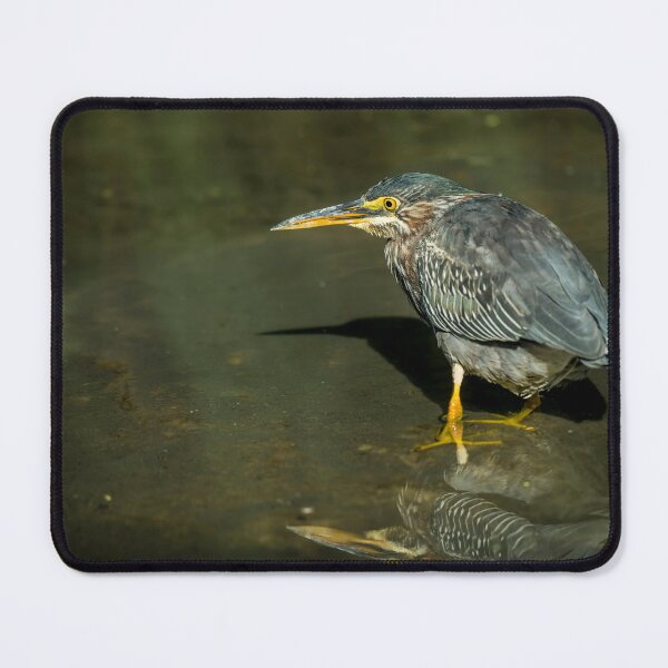 Item preview, Green Heron designed and sold by Michael Cummings.