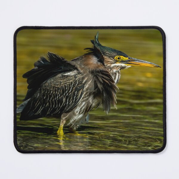 Item preview, Green heron designed and sold by Michael Cummings.