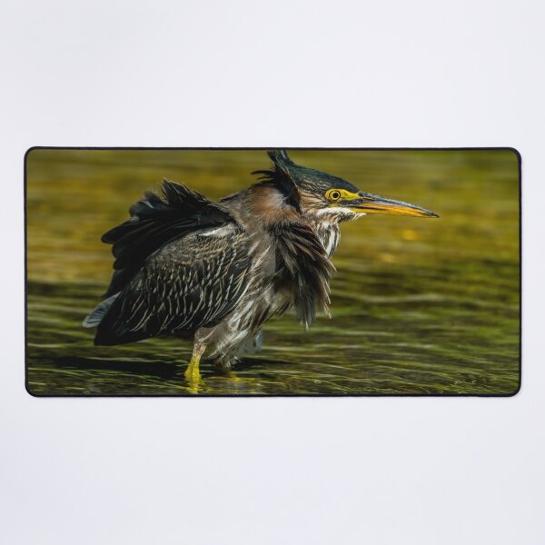 Item preview, Green heron designed and sold by Michael Cummings.