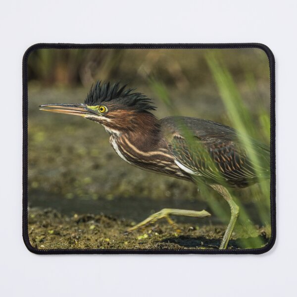 Item preview, Green Heron designed and sold by Michael Cummings.