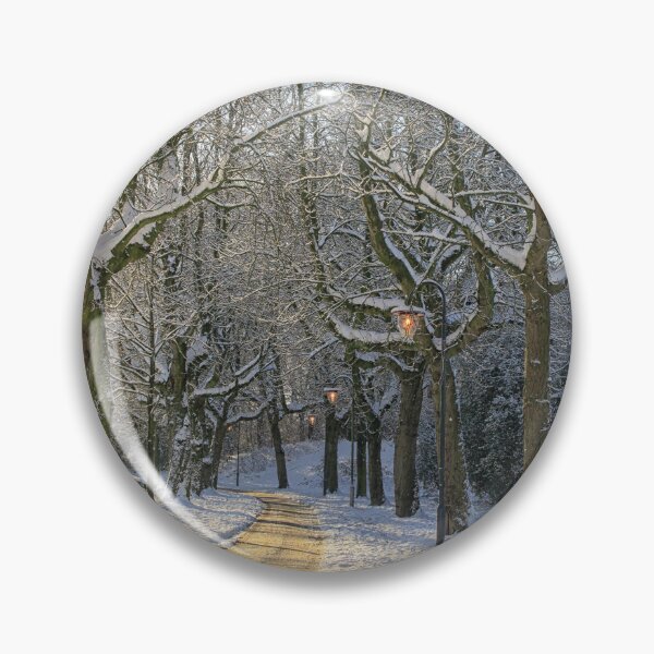 Artikelvorschau, Schneeweg im Park entworfen und verkauft von Photopat.