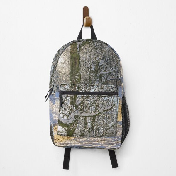 Item preview, Snow path in park designed and sold by Photopat.