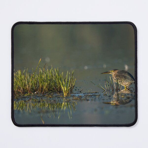 Item preview, Green Heron designed and sold by Michael Cummings.