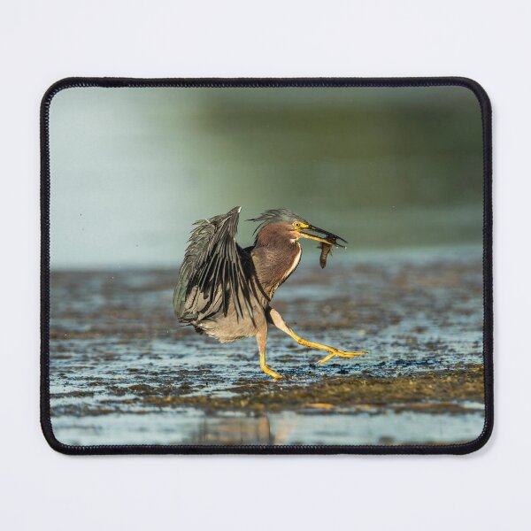 Item preview, Landing With Lunch designed and sold by Michael Cummings.