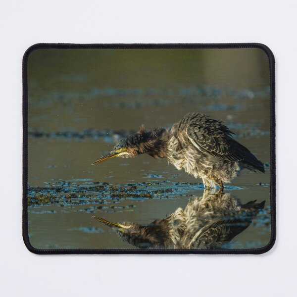 Item preview, Green Heron designed and sold by Michael Cummings.