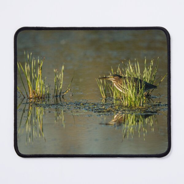 Item preview, Green Heron designed and sold by Michael Cummings.