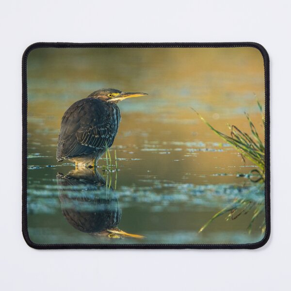 Item preview, Green Heron designed and sold by Michael Cummings.