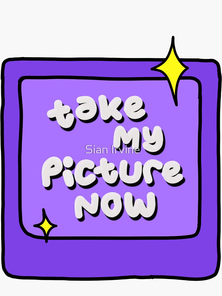 "Take My Picture Now" Sticker for Sale by sianirvine Redbubble