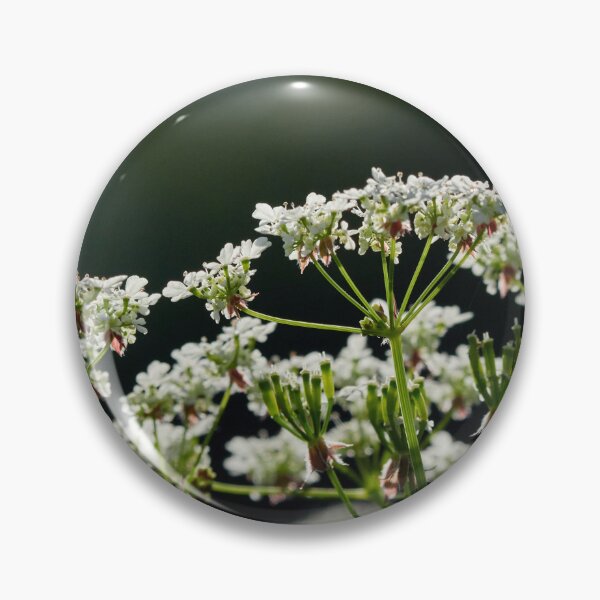 Item preview, All the flowers. Cow parsley designed and sold by Jouko Lehto Photography.