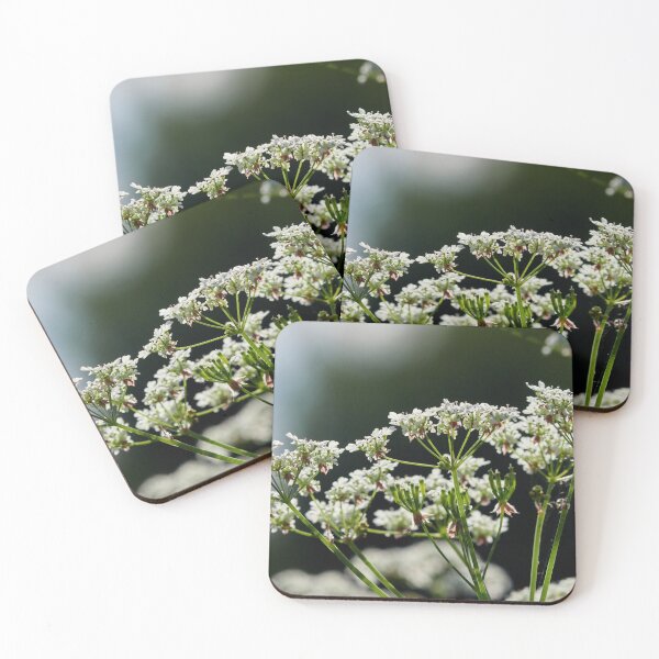 Item preview, All the flowers. Cow parsley designed and sold by Jouko Lehto Photography.