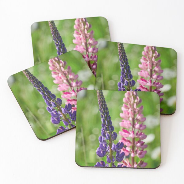 Item preview, Purple and pink. Blue-pod lupine designed and sold by Jouko Lehto Photography.