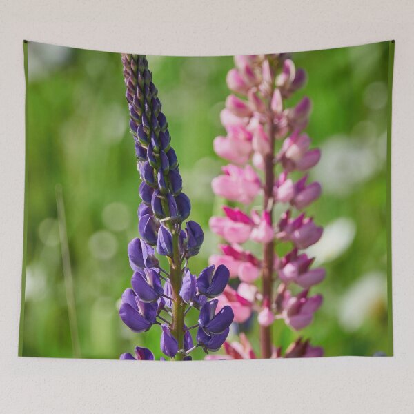 Item preview, Purple and pink. Blue-pod lupine designed and sold by Jouko Lehto Photography.