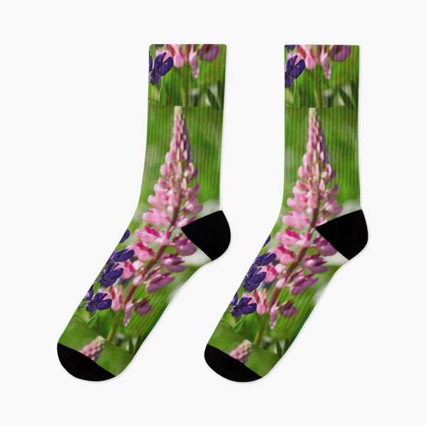 Item preview, Purple and pink. Blue-pod lupine designed and sold by Jouko Lehto Photography.