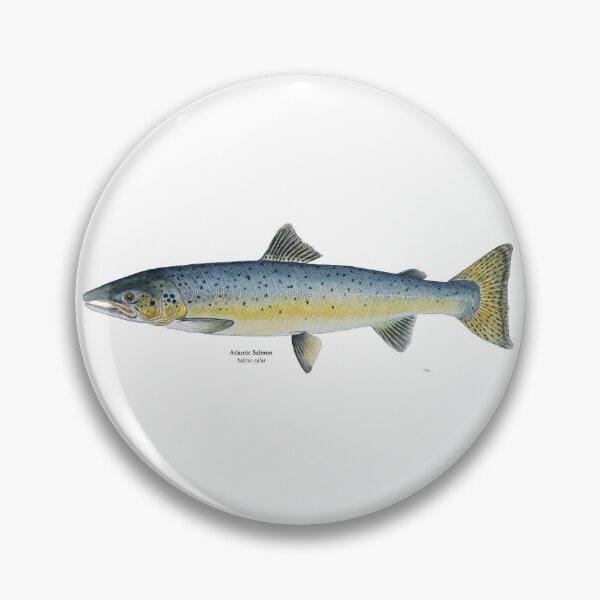Item preview, Atlantic Salmon Painting designed and sold by Stephen Emms.