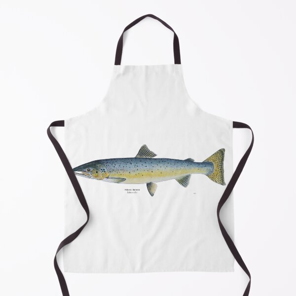 Item preview, Atlantic Salmon Painting designed and sold by Stephen Emms.