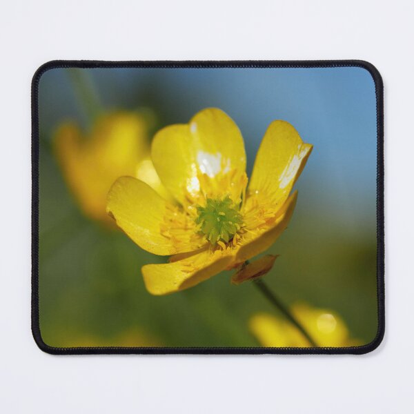 Item preview, Meadow buttercup shine designed and sold by Jouko Lehto Photography.