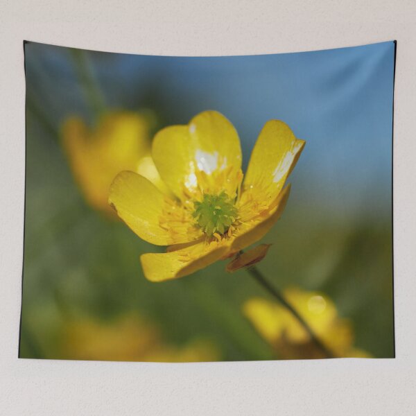 Item preview, Meadow buttercup shine designed and sold by Jouko Lehto Photography.