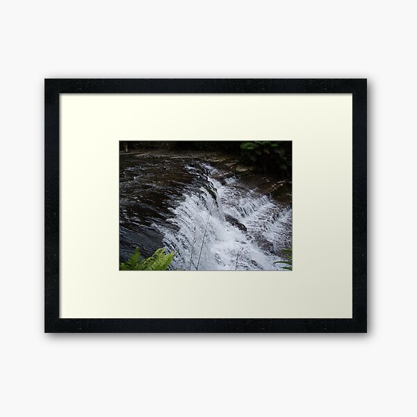 Item preview, at Liffey Falls, Tasmania   -  rock steps designed and sold by Gaylene Norton.