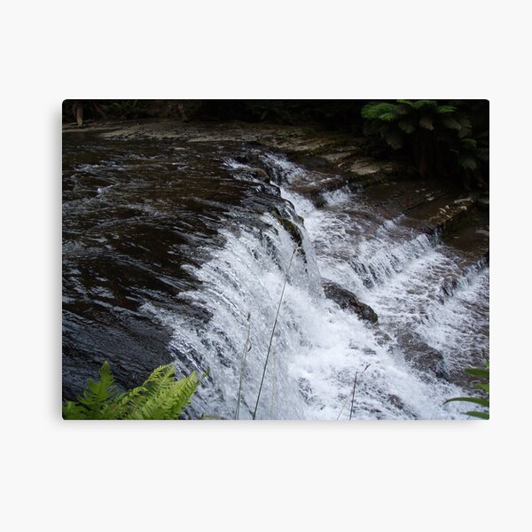 Item preview, at Liffey Falls, Tasmania   -  rock steps designed and sold by Gaylene Norton.