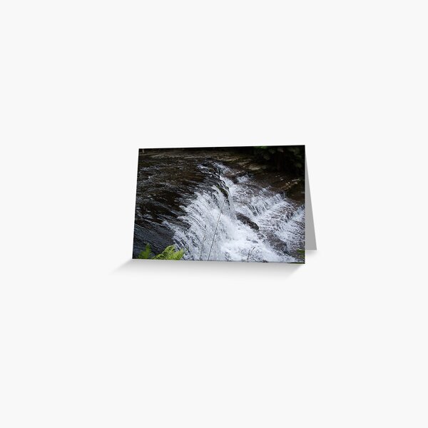 Item preview, at Liffey Falls, Tasmania   -  rock steps designed and sold by Gaylene Norton.