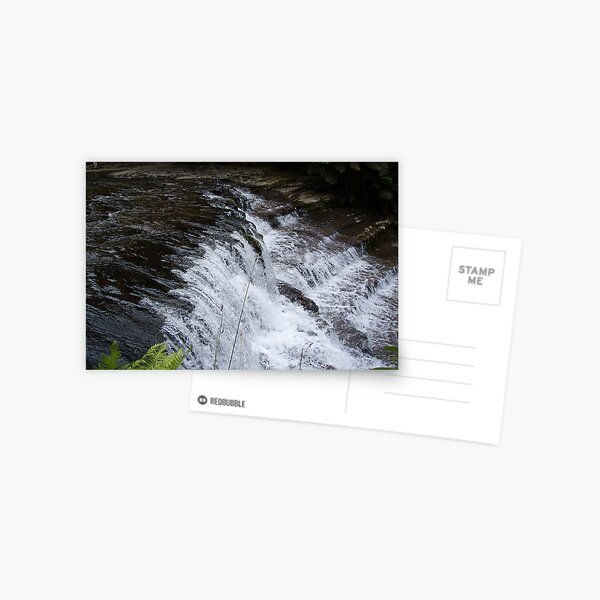 Item preview, at Liffey Falls, Tasmania   -  rock steps designed and sold by Gaylene Norton.