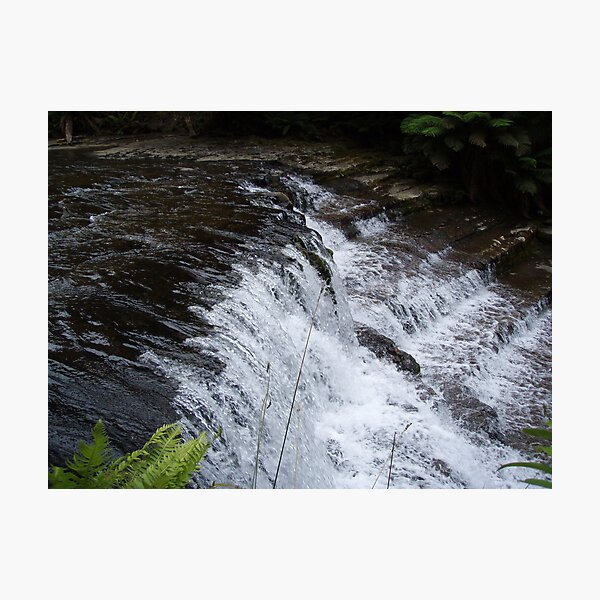 Item preview, at Liffey Falls, Tasmania   -  rock steps designed and sold by Gaylene Norton.
