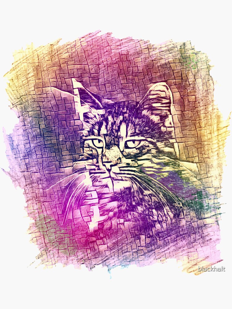 Cat by blackhalt